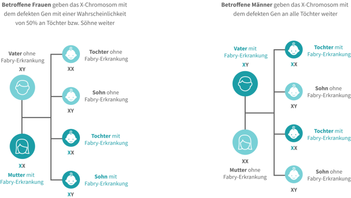 Unterschiedliche Vererbung des X-Chromosoms mit dem defekten Gen von Mutter und Vater auf Töchter und Söhne