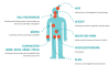 img-grafik-symptome_korrigiert.png